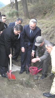 Tanrıverdi Ağaç Dikim Törenine Katıldı.